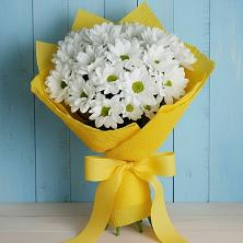 Букет цветов из:  Хризантемы в Сергиевск