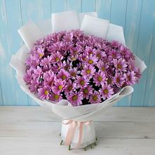 Букет цветов из:  Хризантемы в Сергиевск