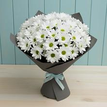 Букет цветов из:  Хризантемы в Сергиевск