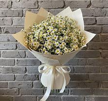 Букет цветов из:  Ромашки в Сергиевск