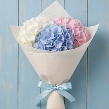 Букет цветов из:  Гортензия в Сергиевск