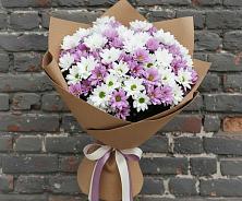 Букет цветов из:  Хризантемы в Сергиевск