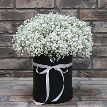 Цветочная композиция из Гипсофила в шляпной коробке #REPLACE_PRED# Сергиевск