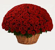 Премиум букет из: Розы в Сергиевск